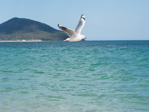 Architectural Design On The Beach - Accommodation Main Beach 1