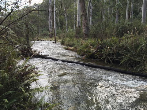 Ariane - Accommodation Main Beach 3
