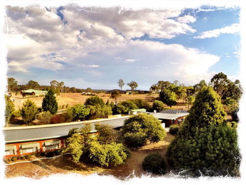 Armidale Rose Villa Motel - Accommodation Main Beach 1
