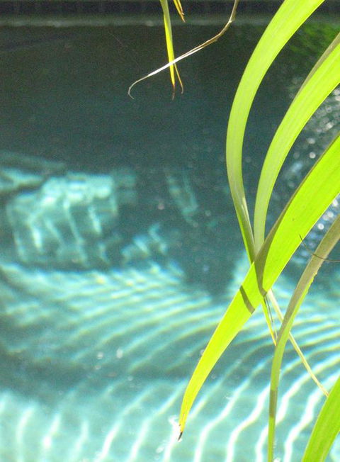 Artizen - Accommodation Main Beach 3