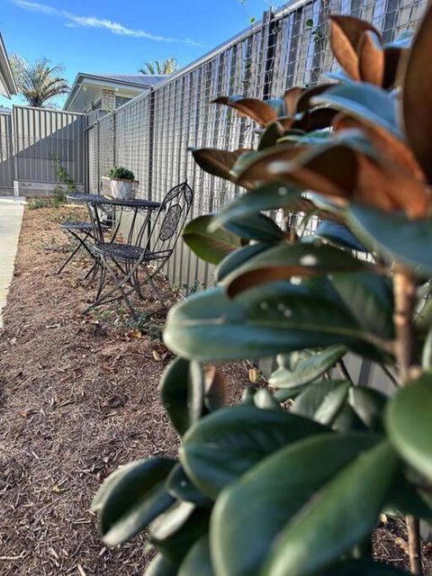 Magnolia Little Gem - Accommodation Main Beach 0