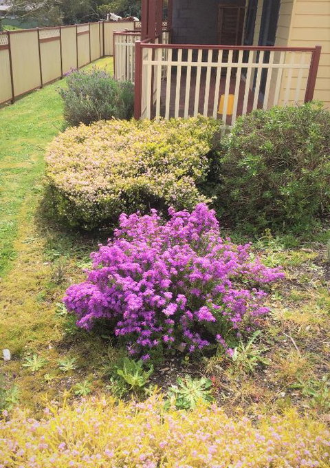 Marsden Court Apartments Now Incorporating Marsden Court And Sharonlee Strahan Villas - Accommodation Main Beach 2