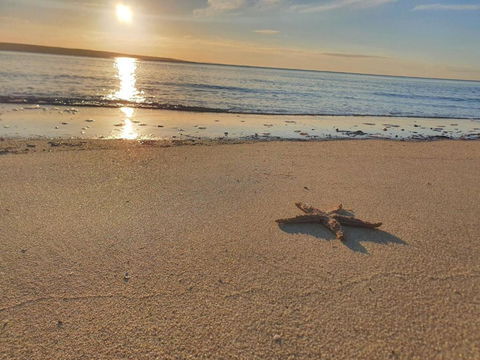 Matildas Of Kangaroo Island - Accommodation Main Beach 1