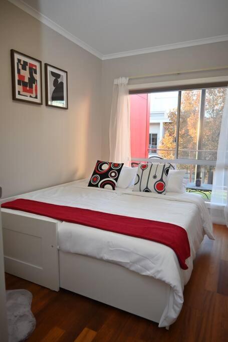 Mawson Red - Free Pool Access -Onsite Parking-Netflix-5 Mins To Mawson Interchange - Accommodation Main Beach 3