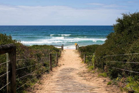 Mona Vale Surf To Tee - Accommodation Main Beach 1