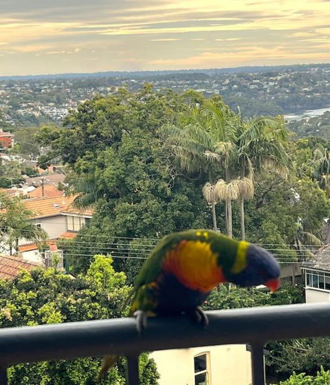 Mosman Views, 2bed, Parking, 15min Walk To Beach - Accommodation Main Beach 1