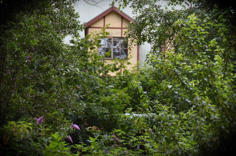 Mountain Lodge - Accommodation Main Beach 2