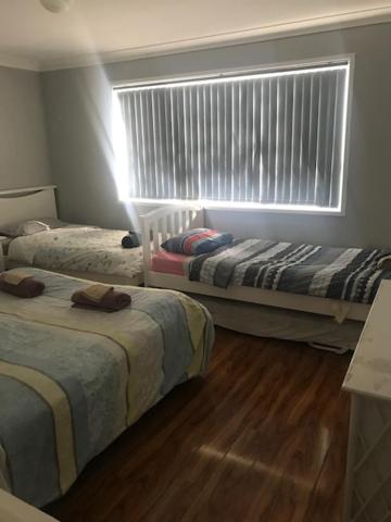 Mystic Blue And Green Meadow - Accommodation Main Beach 3