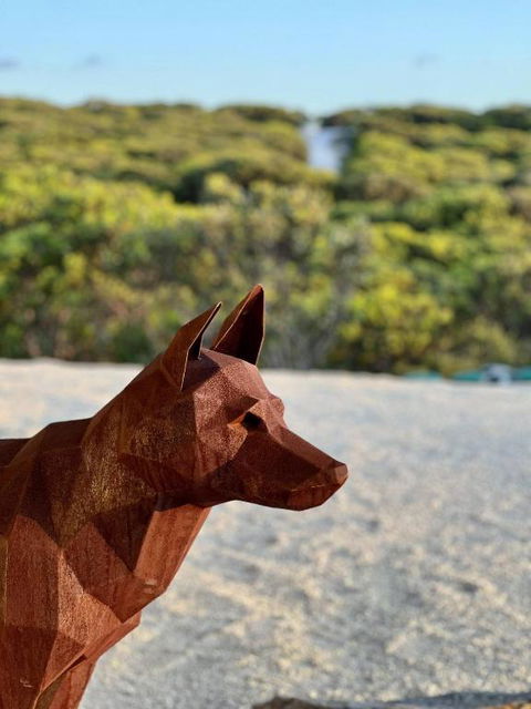 Native Dog Cabin - Accommodation Main Beach 2