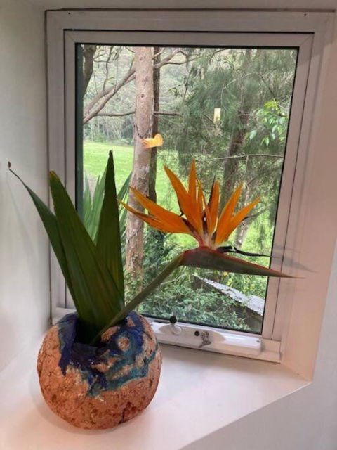Nature Retreat & Artists Studio 90mins From Sydney - Accommodation Main Beach 1