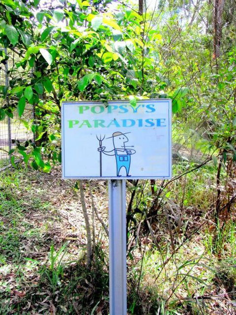 Nature Retreat & Artists Studio 90mins From Sydney - Accommodation Main Beach 3