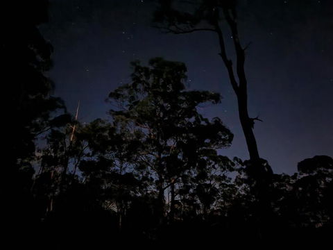 Oakey Creek Country Retreat Kenilworth - Accommodation Main Beach 3