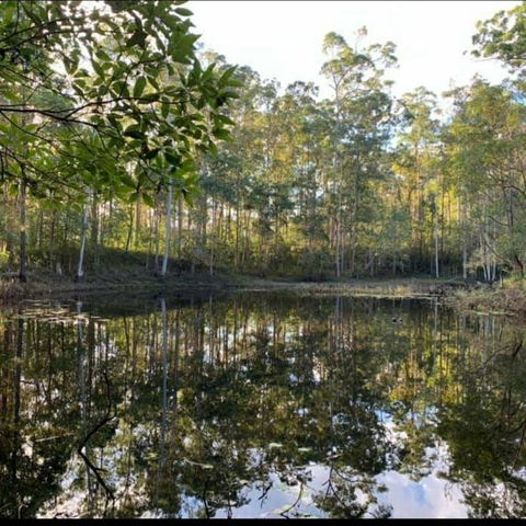 Oakey Creek Country Retreat Kenilworth - Accommodation Main Beach 2