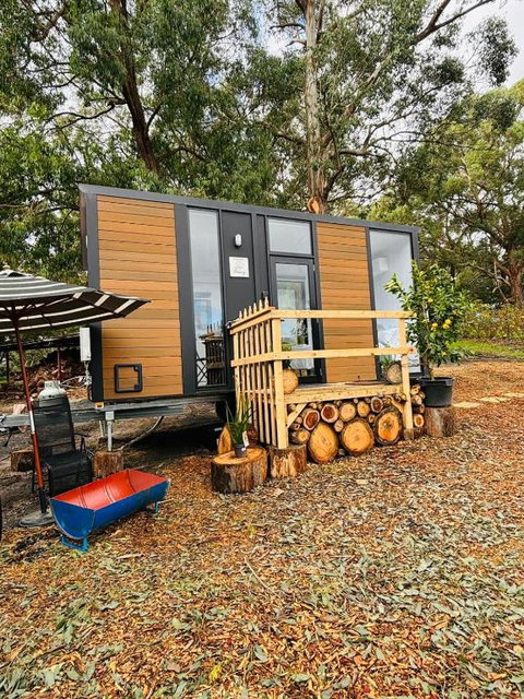 Orange 2 By Tiny Away - Accommodation Main Beach 2
