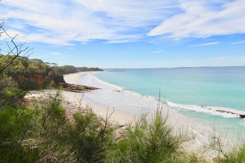 On Collingwood Beach - Downstairs Apartment - 50m From The Beach - Accommodation Main Beach 2