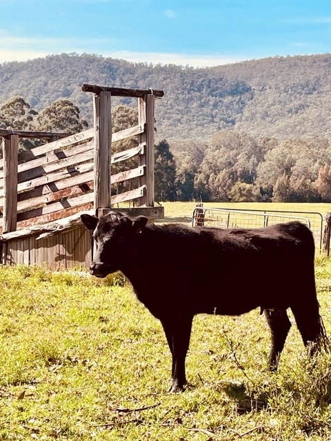 Peppercorns Riverside Farm Stay - Accommodation Main Beach 0