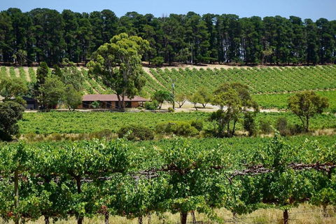 Picturesque Vineyard Farmhouse Nestled On 40-Acres - Accommodation Main Beach 0