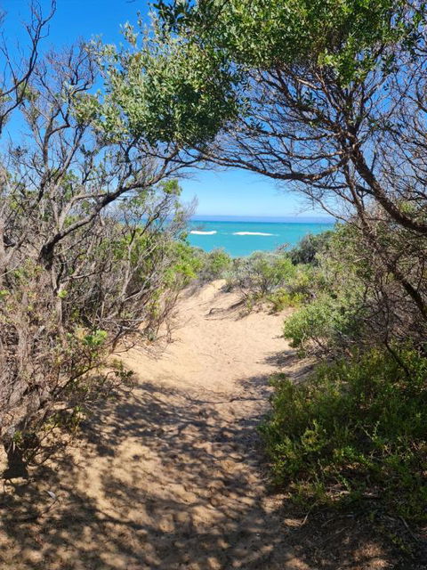 PIECE OF PARADISE, Huge 4 Bedroom Haven - Accommodation Main Beach 0