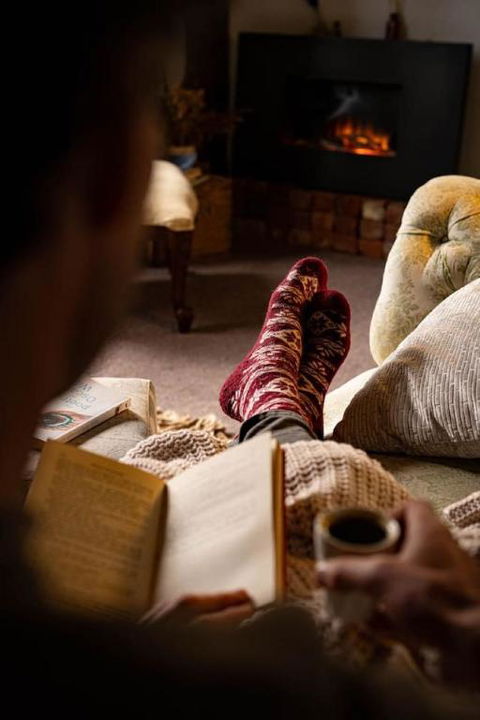 Poets Ode Featuring The Donkey Shed Theatre - Accommodation Main Beach 1