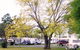 Poplar Tourist Park - thumb 2