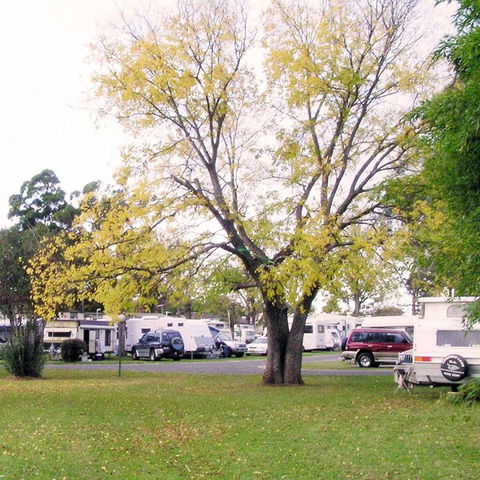 Poplar Tourist Park - Accommodation Main Beach 2