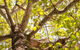 Poplar Tourist Park - thumb 1