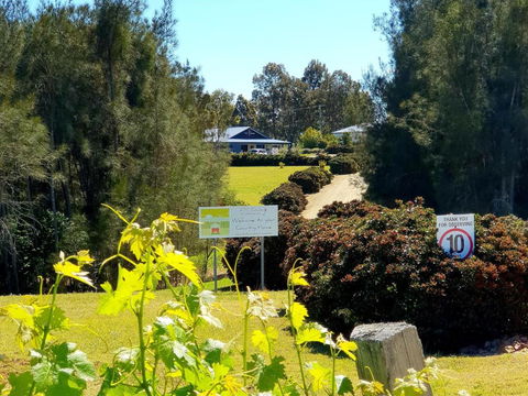 Red Door Collective - RDC Vineyard Estate, Luxury Adult Only Stay - Accommodation Main Beach 0