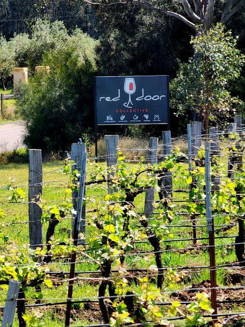 Red Door Collective - RDC Vineyard Estate, Luxury Adult Only Stay - Accommodation Main Beach 1