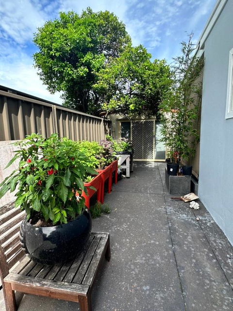 Private, Local Living Studio In Mascot, Airport - Accommodation Main Beach 2