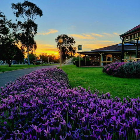 Quality Inn Carriage House - Accommodation Main Beach 1