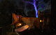Rainshadow Retreat - thumb 2