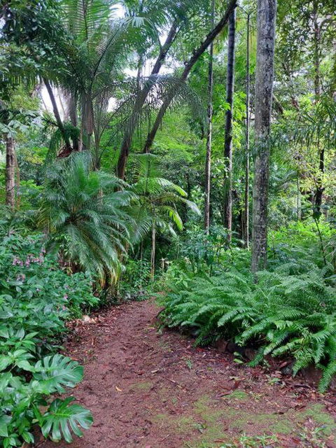 Rainforest Retreat-Fireplace-BBQ-3 Acres- - Accommodation Main Beach 0