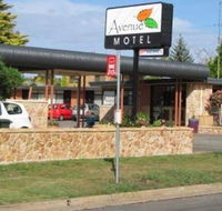 Avenue Motel - Accommodation Main Beach