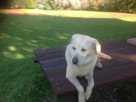 Balingup Jalbrook Cottages - Accommodation Main Beach 2