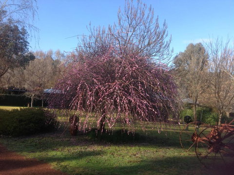 Balingup Jalbrook Cottages - Accommodation Main Beach 1