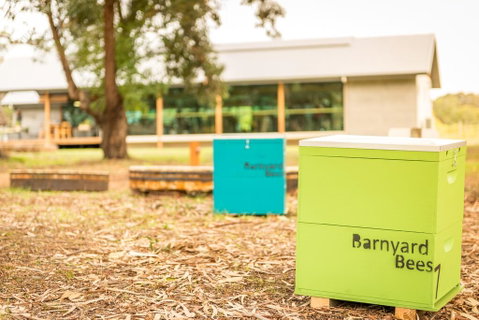 Barn Hives Yallingup - Accommodation Main Beach 2