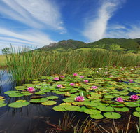 Barrington Hideaway- River Cottages - Accommodation Main Beach