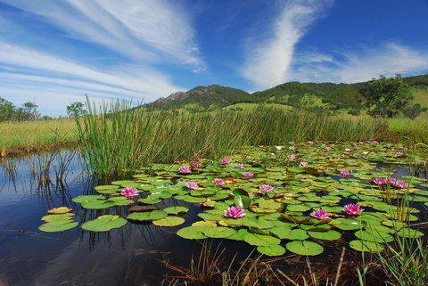 Barrington Hideaway- River Cottages - Accommodation Main Beach 0