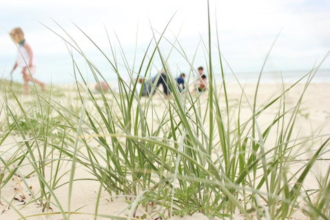 Beachfront At Bribie 2 Puppy Friendly - Accommodation Main Beach 3