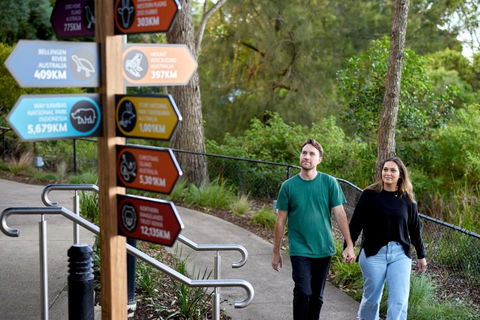 Roar And Snore - Accommodation Main Beach 2