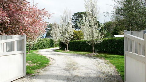 Robin Hill Manor - Accommodation Main Beach 2