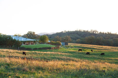 Rosby Guesthouse And Studio - Accommodation Main Beach 0