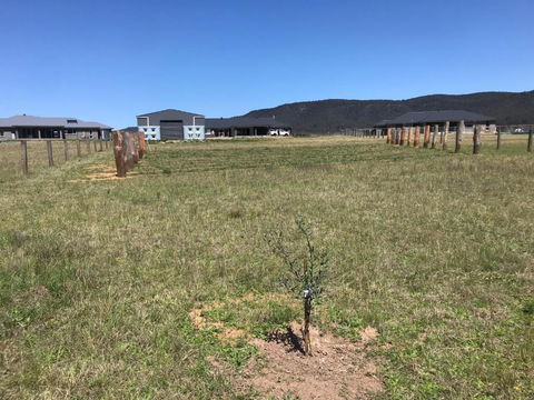 Rosehill Vines - Accommodation Main Beach 3
