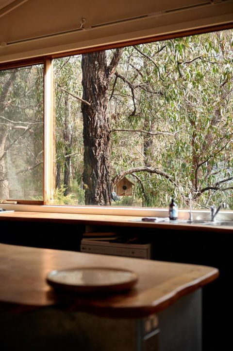 Rustic Treehouse - Aireys Inlet - Accommodation Main Beach 1