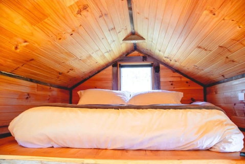 Saddle Country Escape By Tiny Away - Accommodation Main Beach 3