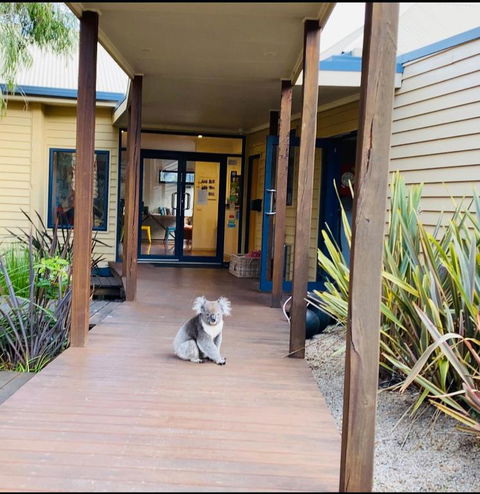 Sandpiper Motel Apollo Bay - Accommodation Main Beach 3