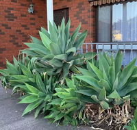 Beautiful Bedroom in Bentleigh East - Accommodation Main Beach