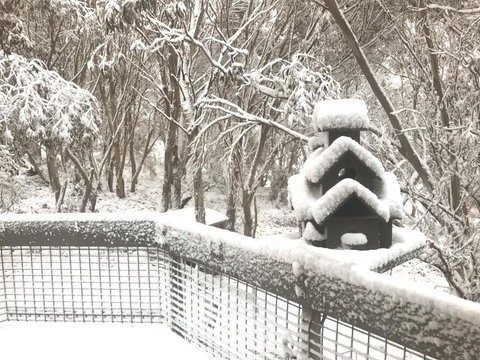 Belltrees - Accommodation Main Beach 1