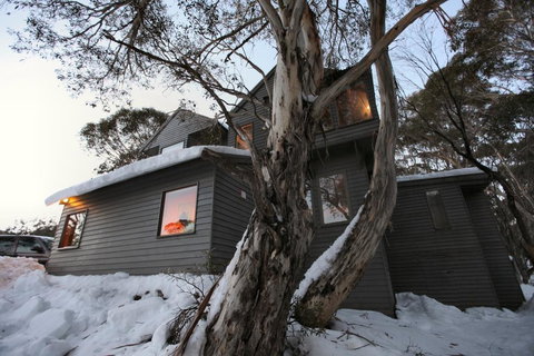 Belltrees - Accommodation Main Beach 0