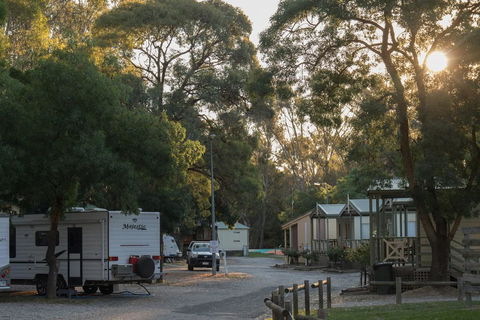 BIG4 Seymour Holiday Park - Accommodation Main Beach 0
